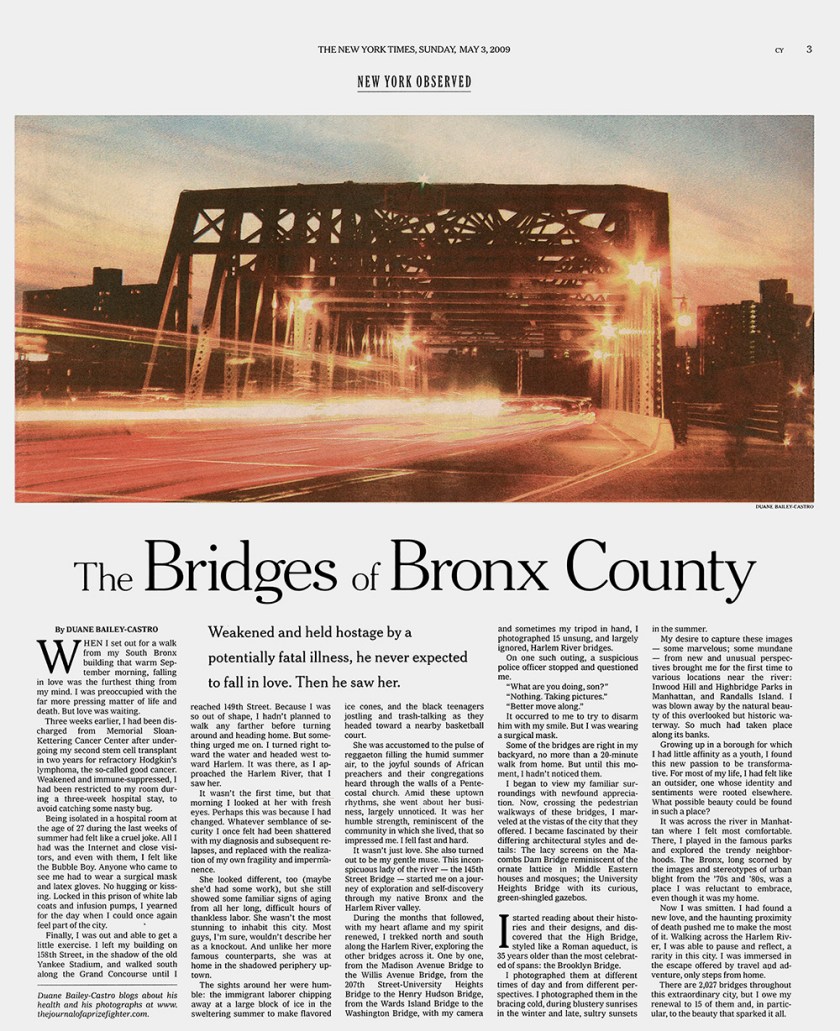 New York Observed - The Bridges of Bronx County - NYTimes___